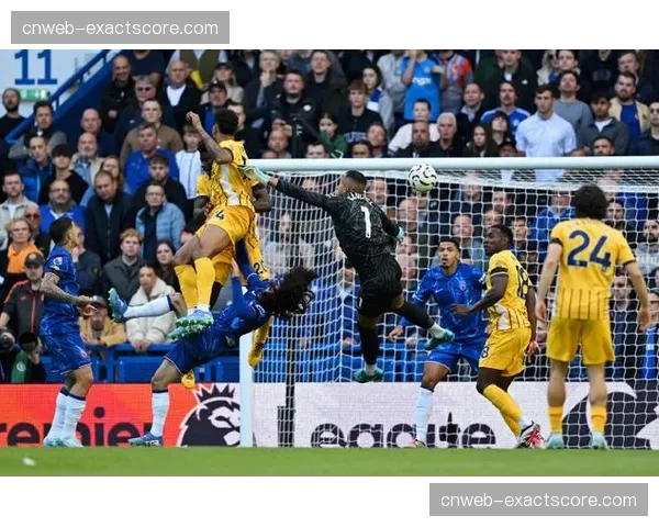 布莱顿1-1战平切尔西，帕尔默点射攻破旧主大门